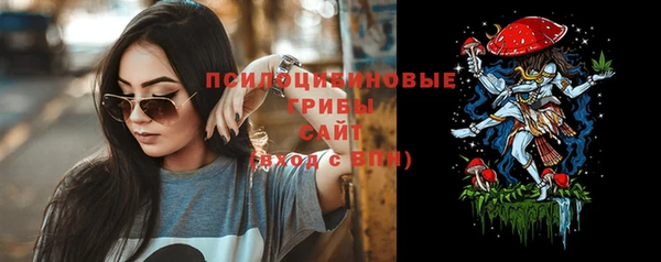 прущая мука Каменка