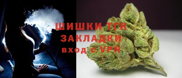 прущая мука Каменка