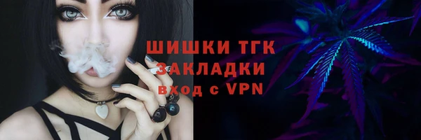 прущая мука Каменка